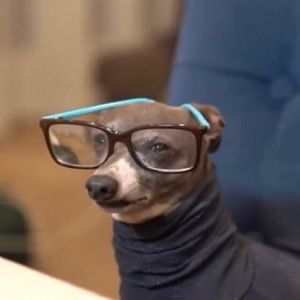 Meet your Posher, Joshua